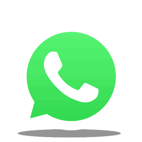Chat with The Pet Villa on WhatsApp
