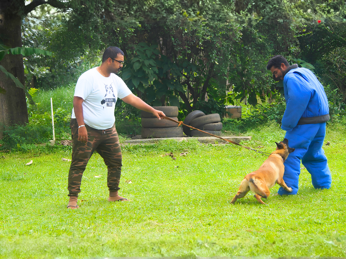 Guard Dog Training