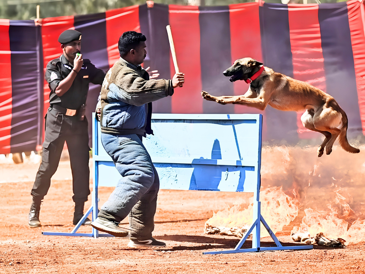 Tracking Training