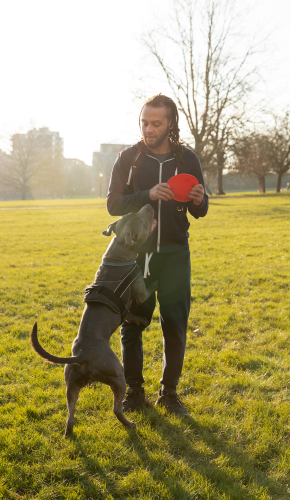 Dog training services Bhubaneswar